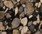 Mairnace Black Granite
